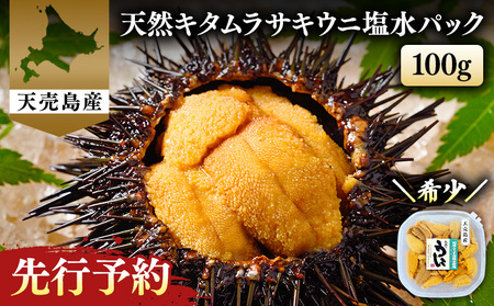 【北海道 天売島産】 ★2026年先行予約★ 天然 キタムラサキうに 塩水パック 100g×1パック【31001】