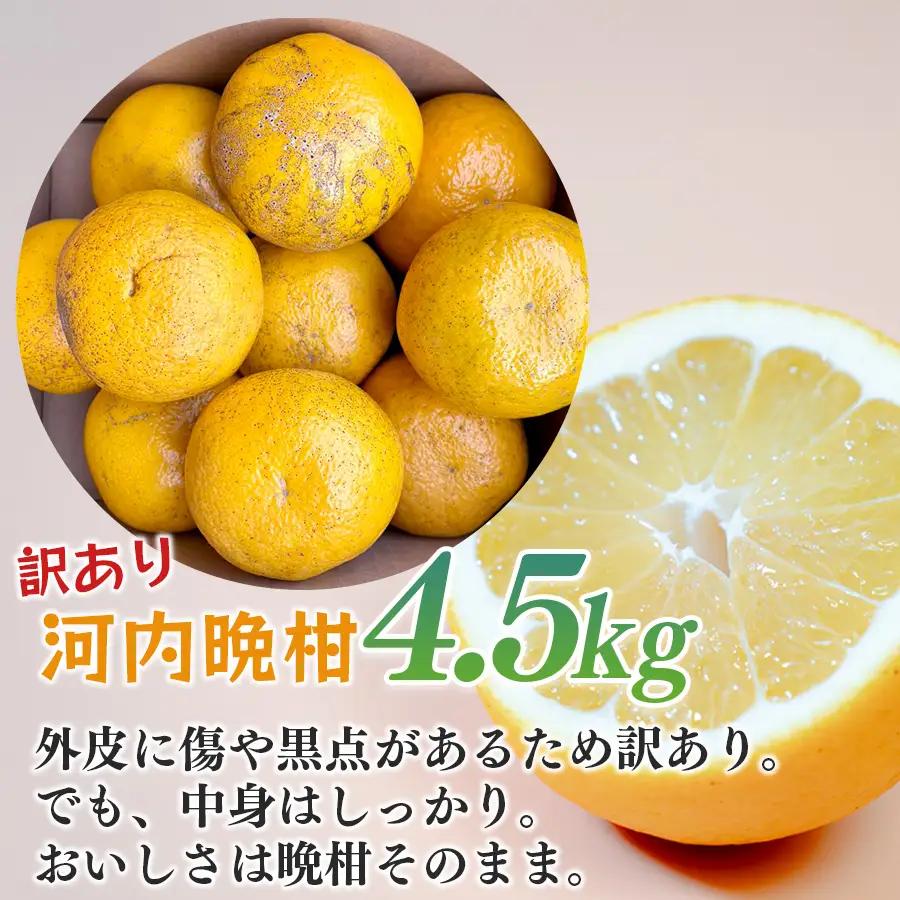 【訳あり】 河内晩柑 4.5kg （M?5L） ばんかん 晩柑 夏文旦 家庭用 みかん 柑橘
