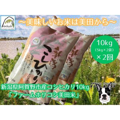 ふるさと納税 阿賀野市 【令和7年産新米】【2ヶ月定期便】コシヒカリ「ファームホリコシ美田米」 10kg(5kg×2袋)