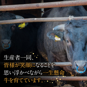 【A4〜A5】博多和牛 ミスジ 焼肉 450g 希少部位 [BGAA035] ミスジ ミスジ ミスジ ミスジ ミスジ ミスジ