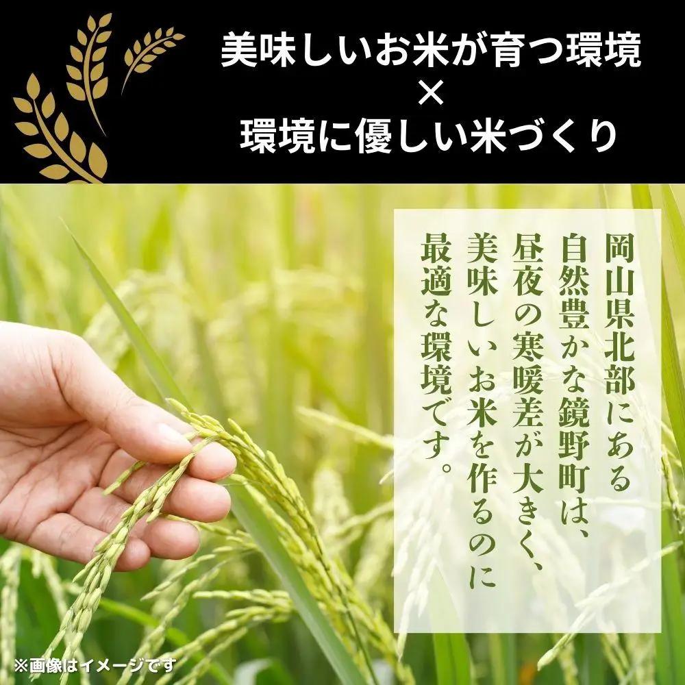 令和7年産 鏡野町産 きぬむすめ 精米【5kg】035-a012
