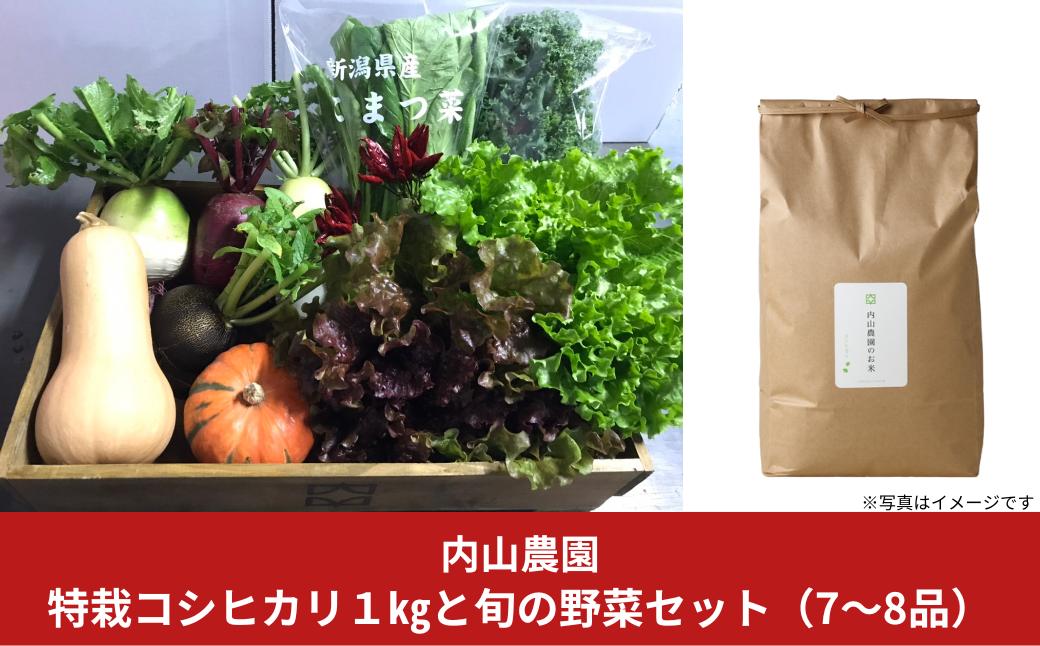 
            特栽コシヒカリ1kgと旬の野菜セット(7～8品)  季節の野菜 詰合せ [内山農園] 【015S111】
          