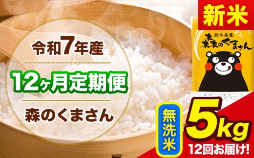 新米 令和7年産 森のくまさん 【12ヶ月定期便】 無洗米 《お申し込み月の翌月から出荷開始》 5kg (5kg×1袋) 計12回お届け 熊本県産 単一原料米 森くま 熊本県 玉東町