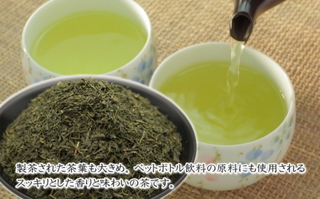 038-13 秋冬番茶 500g×5本
