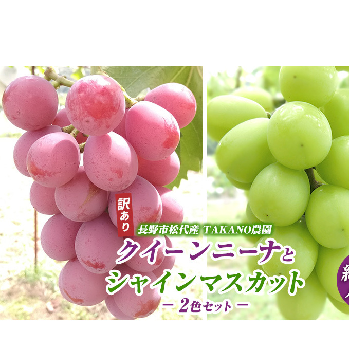 ぶどう 訳あり 先行予約 シャインマスカット クイーンニーナ 計約1kg 種なし 不揃い