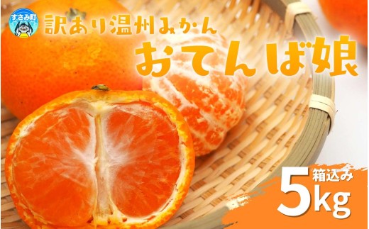  【和歌山県産】訳あり品 温州みかん 5kg※箱込み(早生・中生・晩稲)【S～2Lサイズおまかせ】【2025年10月中旬～2026年1月中旬頃までに順次発送】＜味好農園＞/ 「おてんば娘」みかん 蜜柑 柑橘 温州みかん 訳あり 果物 フルーツ 甘い 果汁溢れる【agy017A】 