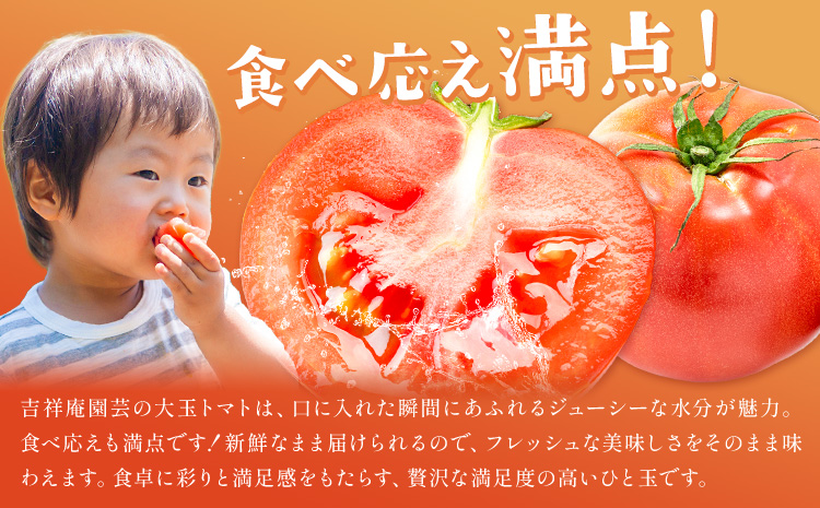 s613 《期間・数量限定》＜訳あり＞大玉トマト(約2kg) 鹿児島 国産 九州産 野菜 やさい 新鮮 とまと トマト 訳あり 規格外 ご家庭用 産地直送 サラダ 【吉祥庵園芸】