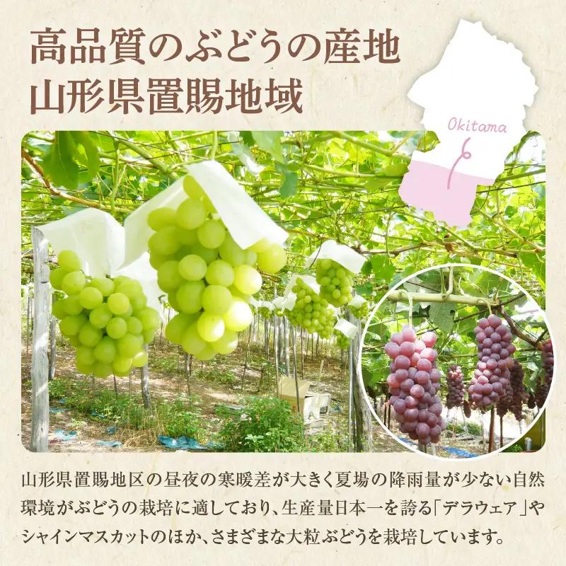 【先行予約】 令和8年産 シャインマスカット 1房 約700g 山形