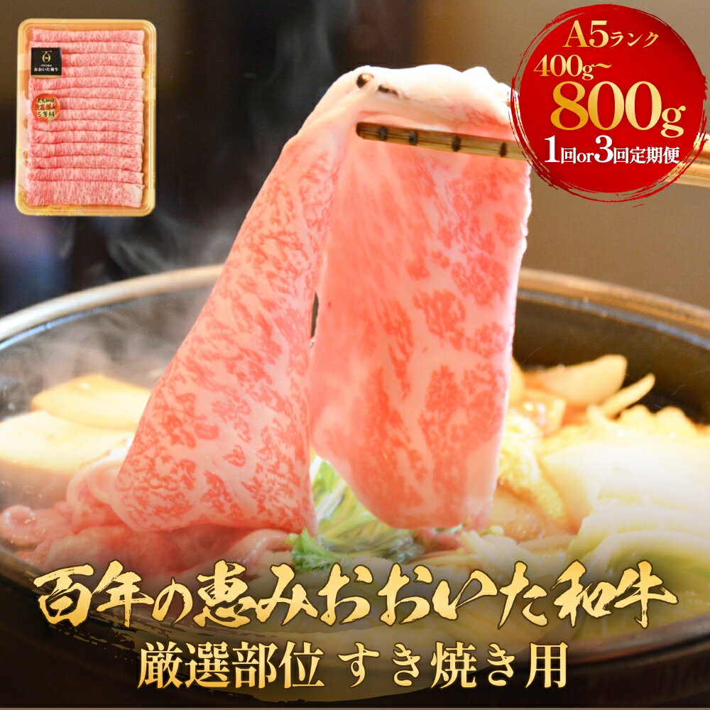 【ふるさと納税】「百年の恵み おおいた和牛」A5すき焼き 400g - 800g 配送回数が選べる 1回 / 3回 定期便 おおいた和牛 黒毛和牛 牛肉 すき焼き用 A5等級 大分県 霜降り ロース 肩ロース もも 肩部位 スライス 風味 豊か 脂肪質 種雄牛 血統 厳選部位