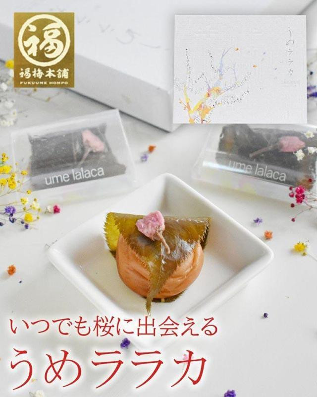 
紀州南高梅 うめララカ 桜葉と桜花を添えて【ギフト 化粧箱入り 贈答用】
