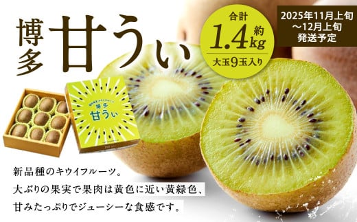 福岡県産 博多甘うぃ 約1.4kg（大玉9玉入り）【2025年11月上旬～12月上旬発送予定】キウイ キウイフルーツ フルーツ 果物 くだもの 先行予約