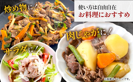 くまもと黒毛和牛 切り落とし 500g 黒毛和牛