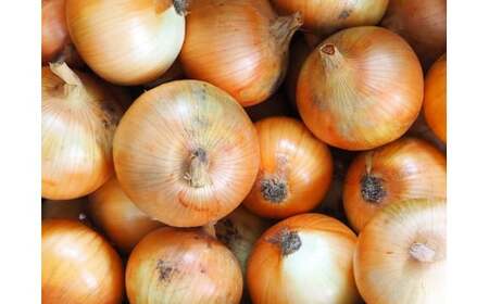 先行予約 農家直送 たまねぎ 約3kg サイズはS～2L大小混合 たまねぎ
