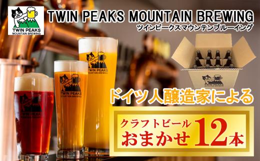 Twin Peaks Mountain Brewingのクラフトビールおまかせ12本セット【 つくば市 ふるさと納税 クラフトビール ビール お酒 酒 麦酒 麦芽 ホップ ドイツ ドイツビール 飲み比べ 】