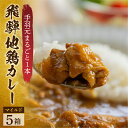 【ふるさと納税】飛騨地鶏カレー(5袋) チキンカレー 地鶏 鶏肉 鳥 カレー マイルド レトルトカレー 人気 おすすめ おいしい 便利 飛騨 飛騨地鶏 一人暮らし 1人用 1人分 2人用 2人分 10000円 1万円 ご当地カレー [Q2481]