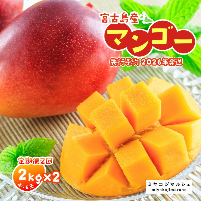 【ふるさと納税】《先行予約 2026年発送》宮古島産マンゴー（2kg×定期便2回）【（株）フラモン】(JH004)