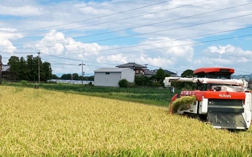A325 【令和7年産】アッキーファームのお米「ひのひかり」 5kg 白米 ヒノヒカリ 【2025年11月上旬～2026年8月下旬まで順次発送予定】_イメージ4