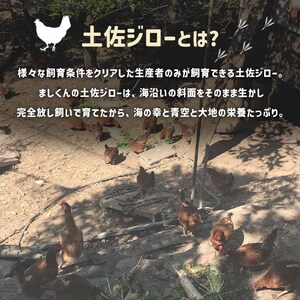 【ふるさと納税】土佐ジローの卵 定期便（12個入り×2回）もみ殻梱包【J00141】