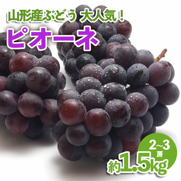 【ふるさと納税】山形産 ぶどう 大人気！ピオーネ 約1.5kg 【令和7年産先行予約】FU23-537 くだもの 果物 フルーツ 山形 山形県 山形市 2025年産