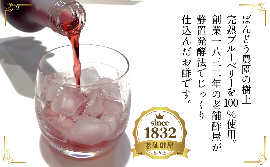 飲む果実酢　ブルーベリービネガー300ml