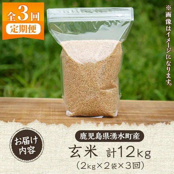 《定期便・全3回》《栽培期間中農薬化学肥料不使用》鹿児島県産 ヒノヒカリ 玄米計12kg（2kg×2袋×3回） 国産 九州産 鹿児島県産 湧水町産 ひのひかり お米 米 こめ コメ 玄米 ご飯 ごはん