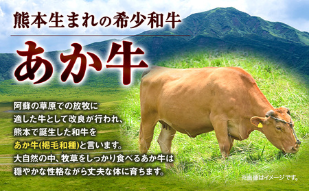 あか牛 焼肉用カット 3kg 6ヶ月定期便 五右衛門フーズ 《お申込み月の翌月から出荷開始》 熊本県 球磨郡 山江村 牛肉 肉 国産 熊本県産 ブランド牛 絶品 贅沢 高級 焼肉