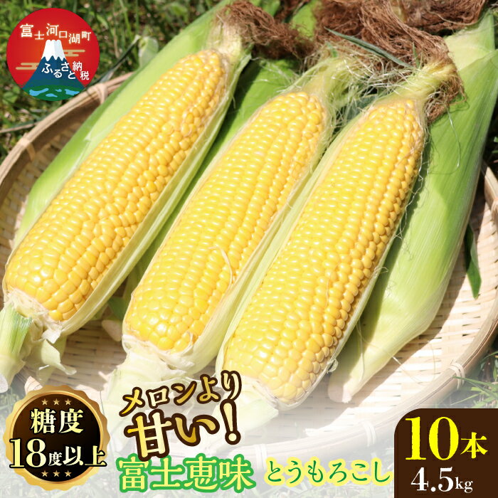 【ふるさと納税】 ＜25年発送先行予約＞メロンより甘い！生で美味しいとうもろこし富士恵味10本セット 惠味ゴールド スイートコーン ふるさと納税 とうもろこし おすすめ 人気 期間限定 山梨県 富士河口湖町 送料無料 FAH003