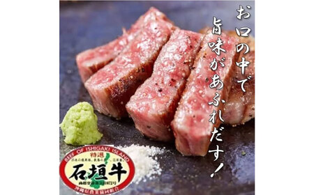 沖縄県産 石垣牛 ハンバーグ・ステーキセット 計600g 牛 ステーキ肉 和牛 ハンバーグ 冷凍 ギフト お取り寄せ 沖縄市 / お肉屋本店[BCAZ005]