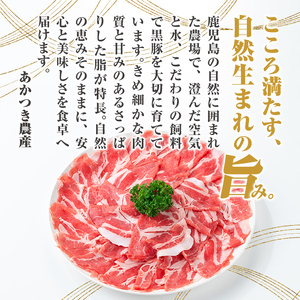 【B06001】鹿児島県産黒豚ロース＆餃子セット 鹿児島県 国産 九州産 黒豚 豚肉 ポーク ロース とんかつ しゃぶしゃぶ 餃子 ギョーザ ぎょうざ バラエティ セット 詰め合わせ 鹿児島 ギフト 
