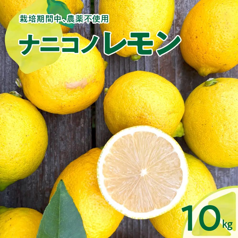 【先行受付】【2026年11月下旬～発送】ナニコノレモン 10kg ku149-003-26
