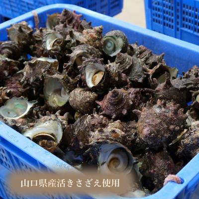 ふるさと納税 下関市 【5営業日以内発送】 うに 磯粒うに さざえうに漬 55g 2本 ED08 |  | 02