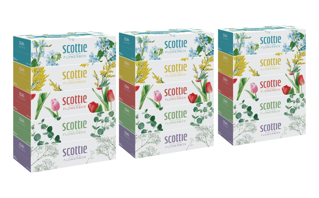 【定期便6回】【毎月お届け】【スコッティ】ティシュー フラワーボックス 250組 5箱パック×3セット 合計15箱 ティッシュ 日用品 生活必需品 消耗品 紙 まとめ買い 備蓄 防災備蓄 ストック デザインボックス