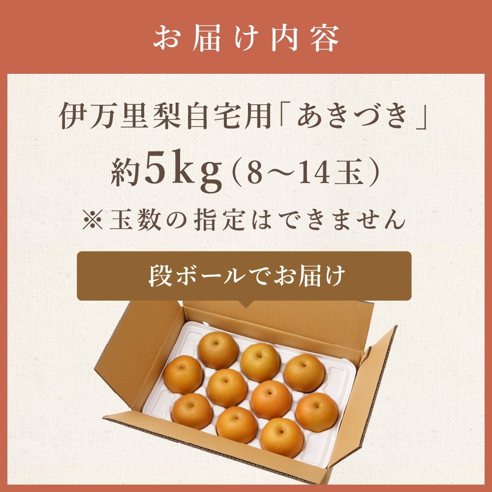 【2025年産先行予約】伊万里梨「あきづき」 約5kg B165