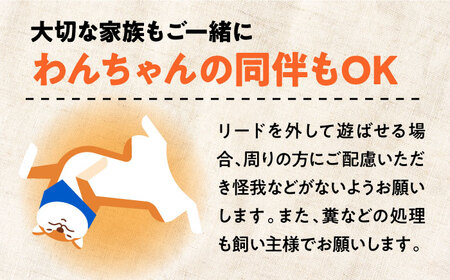 キャンプ テントサイト1区画利用券4名様 キャンプ[XBI004]