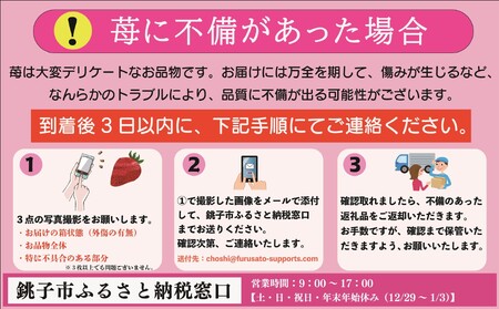 先行予約 いちご とちおとめ（400ｇ） 萩谷園芸 銚子産 とちおとめ 苺 いちご イチゴ ビタミンC 葉酸 食物繊維 デザート ミルフィーユ フルーツ ヨーグルト スムージー 千葉県 銚子市 とちお
