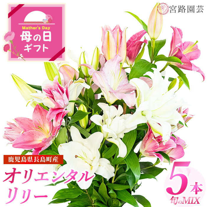 【ふるさと納税】高評価★4.69 「 オリエンタルリリー ( ユリ )」旬のミックス(5本) ふるさと納税 花 花束 鹿児島県産 国産 九州 長島町 百合 植物 フラワー 観賞用 ギフト 贈答 記念日 【宮路園芸】miyaji-3331