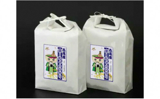 
【令和5年産・新米】西尾のお米10kｇ（こしひかり5Kg×２）・K195-18
