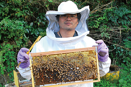 【自然のまま】遠山ブルーベリー農園産ハチミツ300g