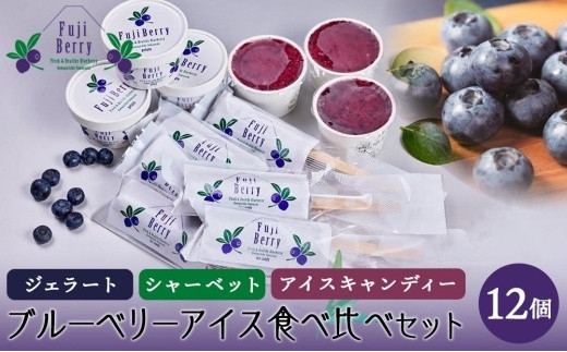 
                  Fuji Berry ブルーベリーアイス食べ比べセット
                