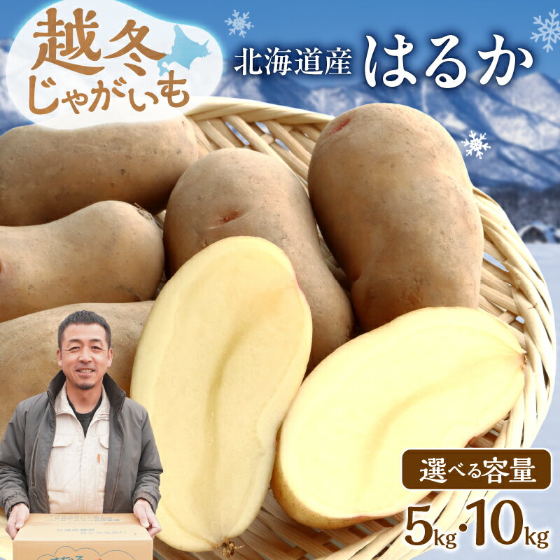 【ふるさと納税】【 選べる内容量！ 】 ホクホク あま～い！ 低温貯蔵！北海道産 越冬じゃがいも はるか 約 5kg 約 10kg じゃがいも いも 芋 はるか 産地直送 越冬 じゃがバター フライドポテト ポテトグラタン 肉じゃが マッシュポテト コロッケ 北海道 清水町 送料無料
