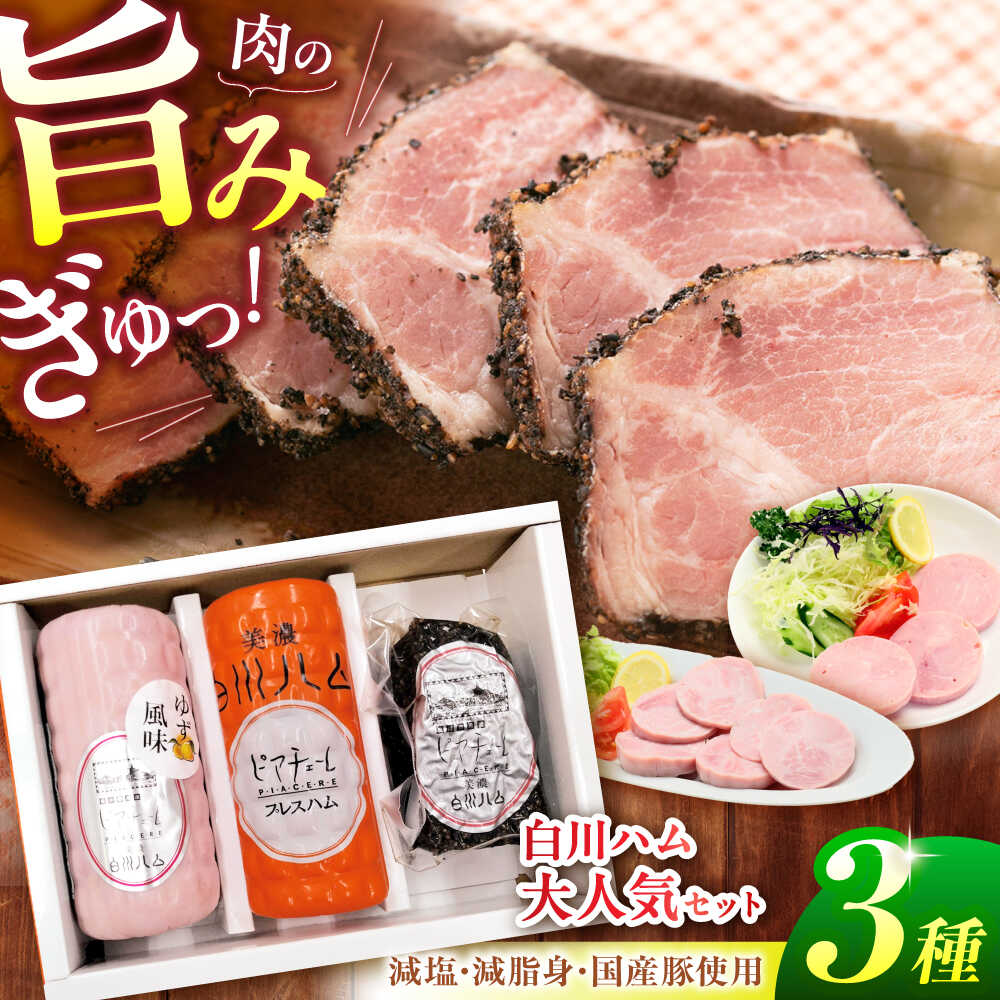 【ふるさと納税】白川ハム 人気！3種セット（ プレスハム ・ ゆず味プレスハム ・ パストラミハム ） ハム ボンレスハム プレスハム パストラミ 詰め合わせ 白川町 / 白川町農業開発[AWAH015]