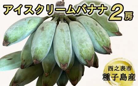 種子島 産 園田バナナ園 アイスクリームバナナ ( 島バナナ )　2房　NFN493【450pt】 