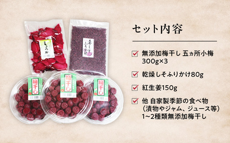 梅干しと季節の食べ物セット 無添加梅干し｜多気町産 TH-01