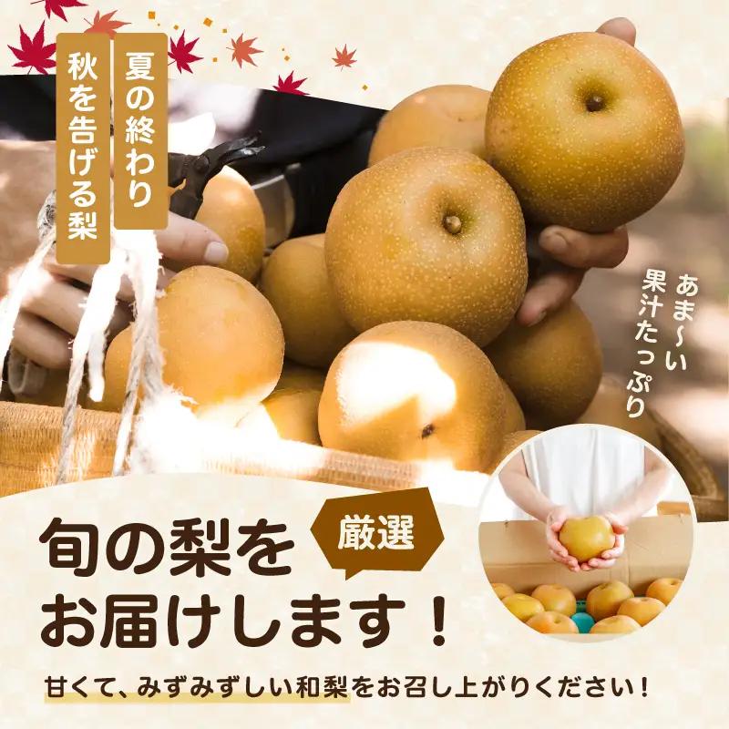 南信州産 梨 約10kg ＜ 幸水 ・ 豊水 ＞ いずれか1品種 おまかせ 【2026年8月中旬～発送】