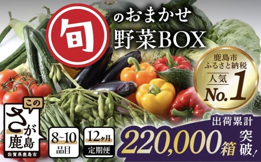 
            【定期便12ヶ月】旬のおまかせ野菜BOX 定期便 詰め合わせ 【8～10品目】 野菜 果物 旬 定番 セット 詰め合わせ じゃがいも 人参 大根 白菜 小松菜 レンコン サトイモ キャベツ ほうれん草 リーフサニー 水菜 きのこ レタス アスパラガス 等 ふるさと納税 佐賀県 鹿島市 H-13
          