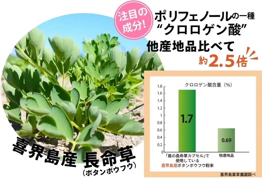 長命草カプセル(280㎎×150粒)【機能性標示食品】