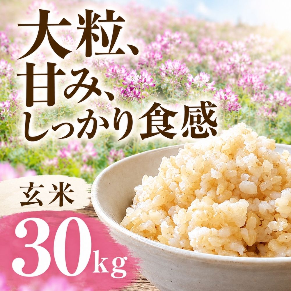 【ふるさと納税】≪令和7年産≫ 玄米 30kg 大容量 単一原料米 水の都 大垣米 わごうめぐみ米 特別栽培米 レンゲハツシモ ごはん ご飯 人気 美味しい 初霜 はつしも ハツシモ 産地直送 産直 お米 米 ※ こめ コメ kome 岐阜県産 国産 農事組合法人わごう 岐阜県 大垣市
