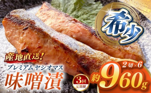 【定期便3回】「プレミアムヤシオマス」の味噌漬 2切入×6パック  [ 冷凍便 ] | 魚 ます 養殖 産地直送 栃木県 (毎月お届け）