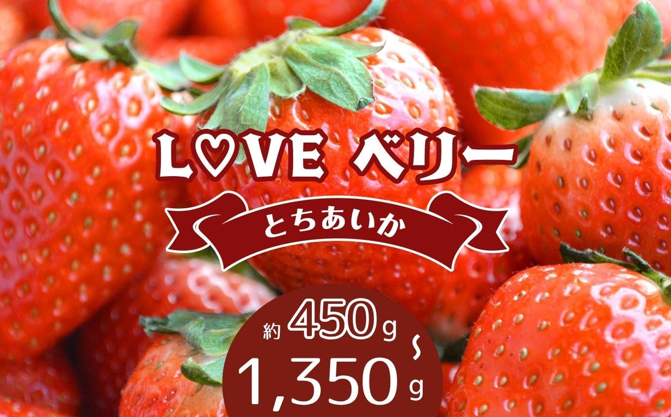 
                  【2027年 先行予約受付中！】選べるグラム数 ♡LOVE ベリー【とちあいか 450g / 900g / 1,350g 】
                