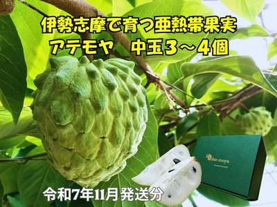 伊勢志摩産 アテモヤ 中玉３～４個 約1.2kg やまで農園 令和7年11月発送 世界三大美果 果物 ふるさと 納税 くだもの フルーツ 森の アイス クリーム 送料無料 産直 事前予約 三重 南伊勢